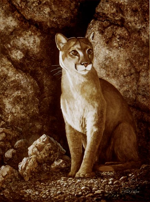 Cougar Wait Until Dark  Painting