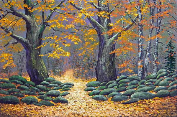 Forest Light Painting