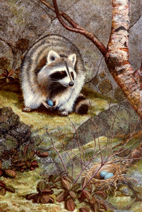 Raccoon Found Treasure  Painting