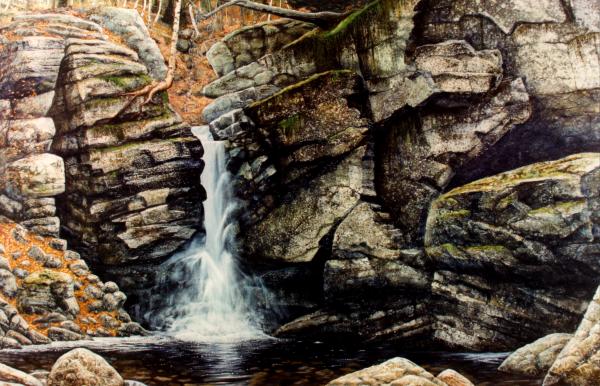 Woodland Falls Painting